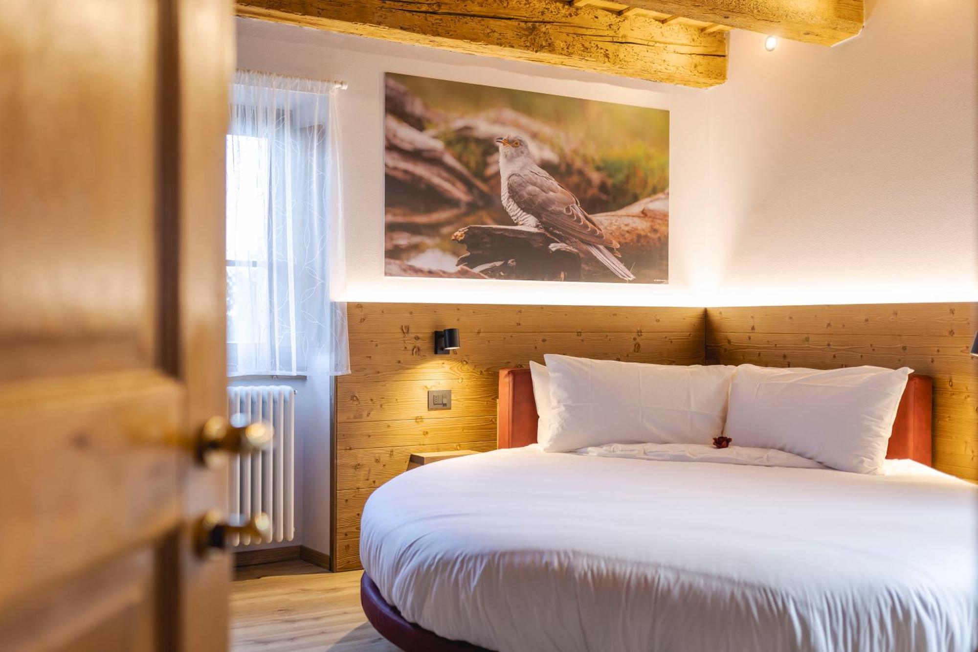 Granduca Mountain Wellness Apartments Campigna Exterior foto